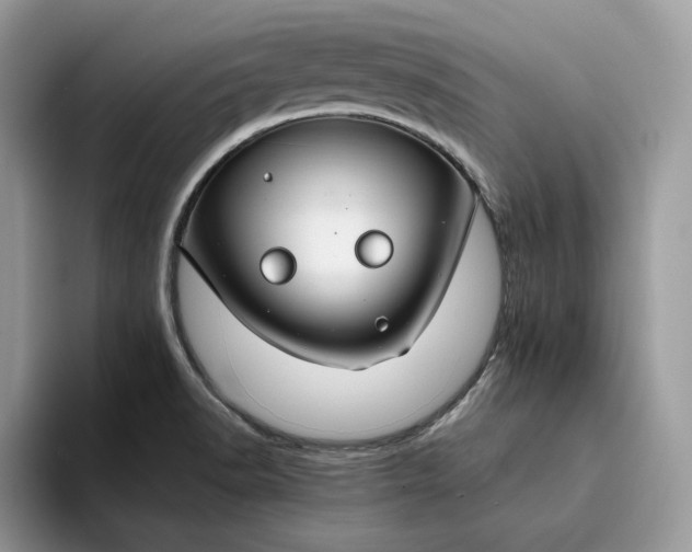 X0000094181518200711091133