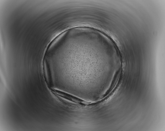 X0000094181521200711091133