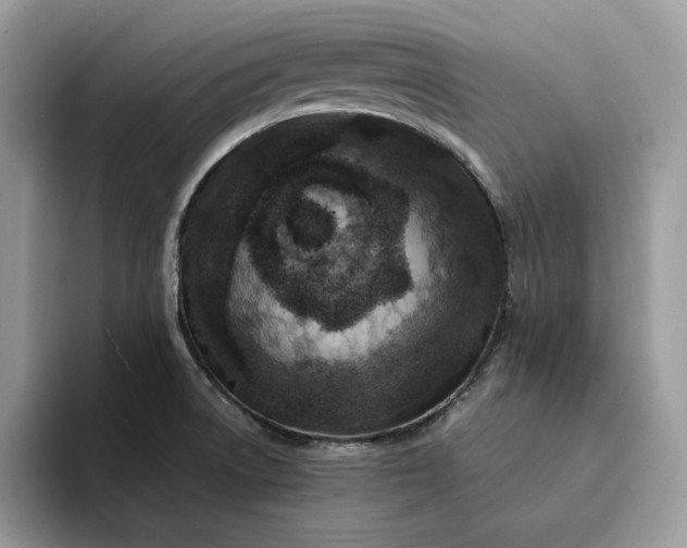 X0000094181522200711091133