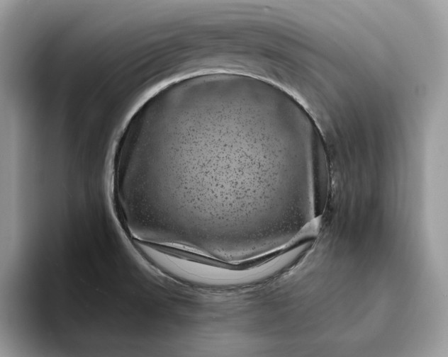 X0000094181523200711091133