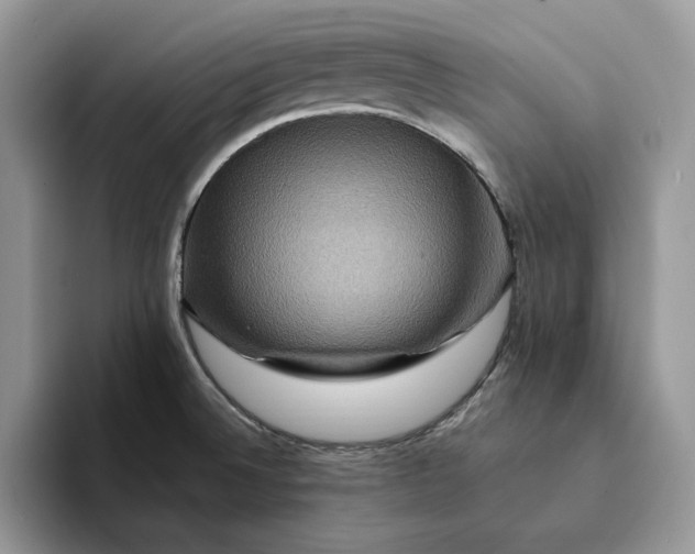 X0000094181524200711091133