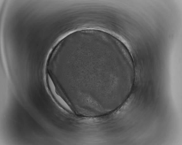 X0000094181525200711091133