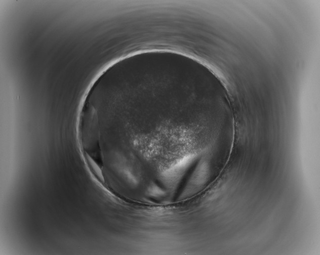 X0000094181527200711091133