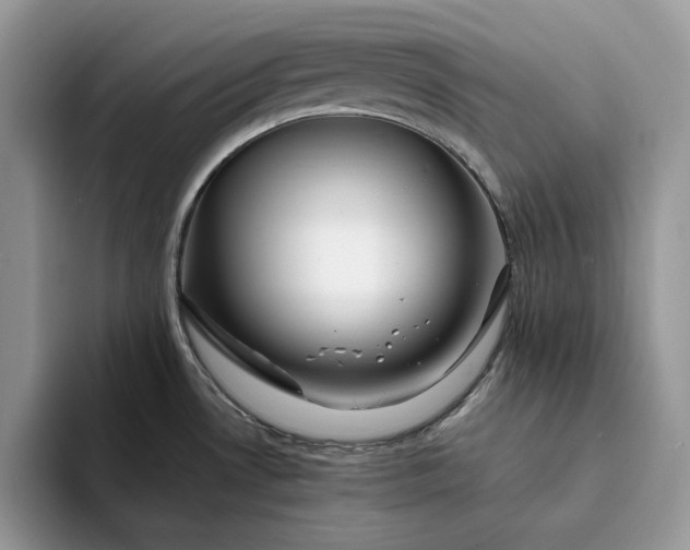 X0000094181530200711091133