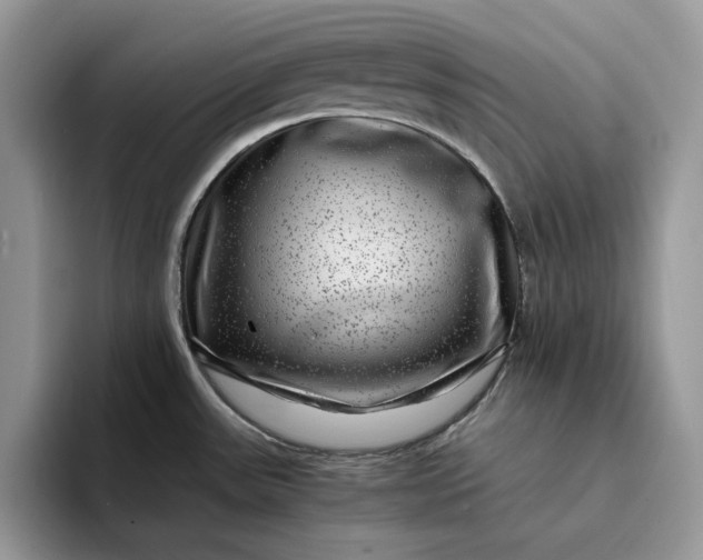 X0000094181531200711091133