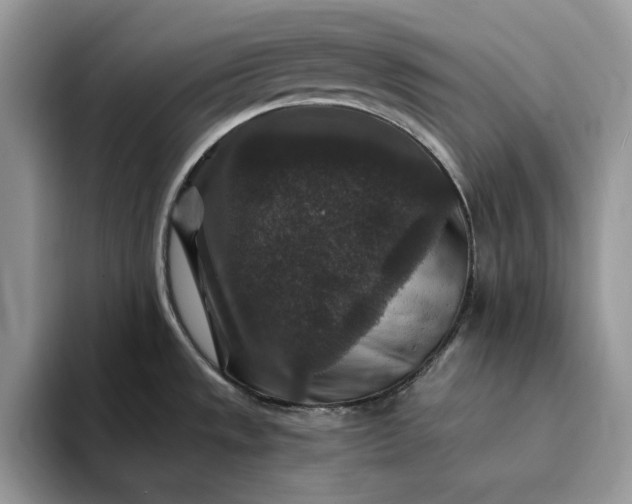 X0000094181533200711091133