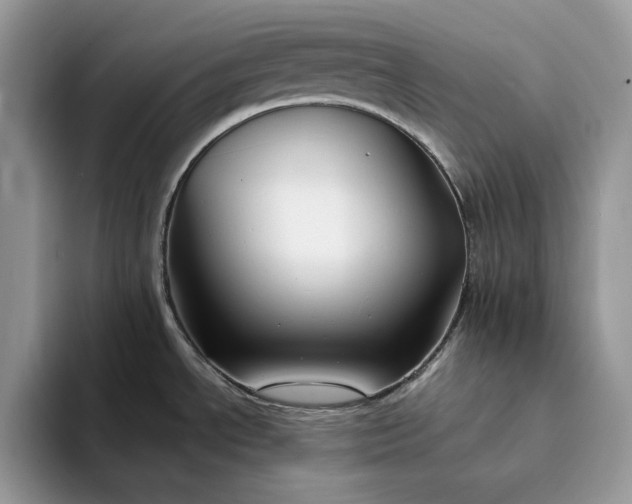 X0000094181534200711091133