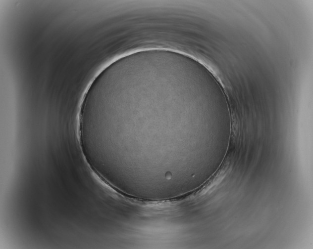 X0000094181535200711091133