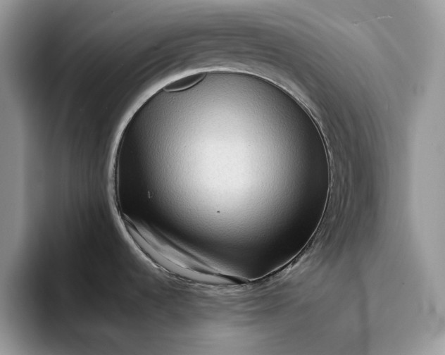 X0000094181536200711091133