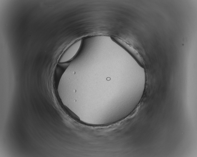 X0000094180001200711161737