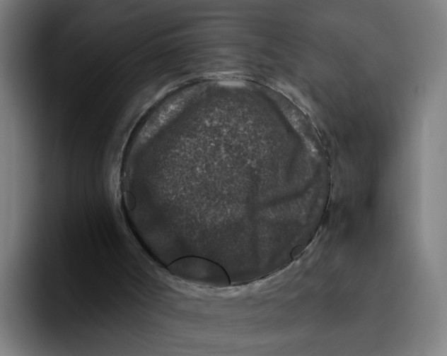 X0000094180002200711161737