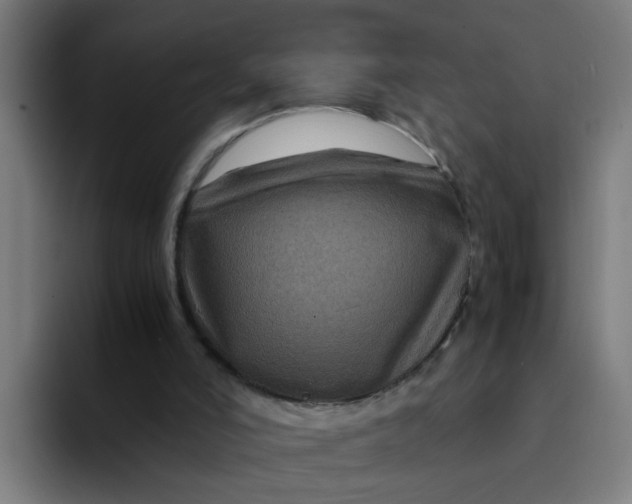 X0000094180006200711161737