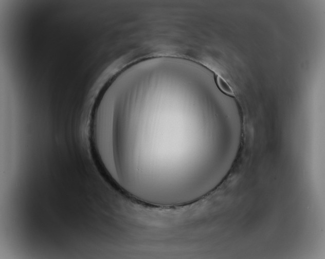 X0000094180007200711161737