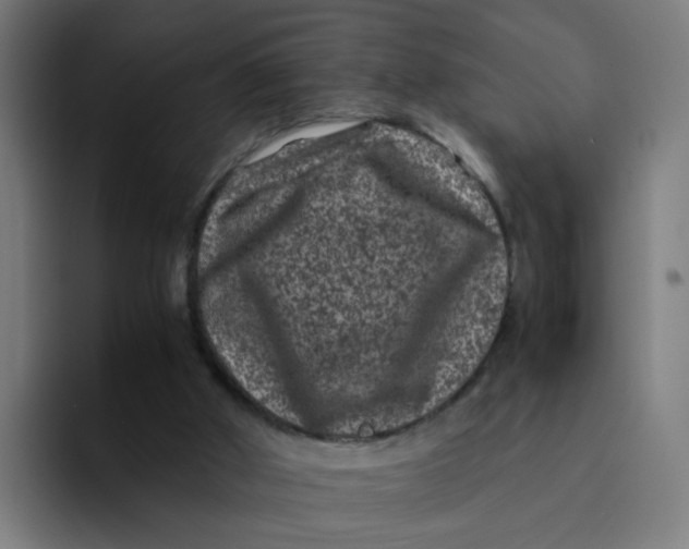 X0000094180010200711161737