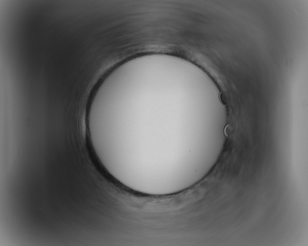 X0000094180011200711161737