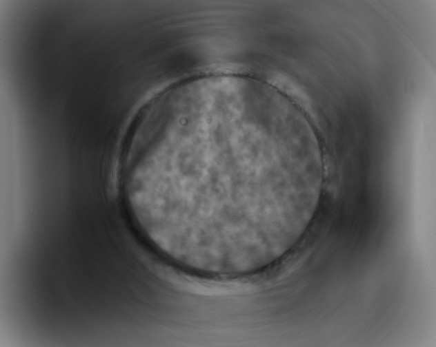 X0000094180012200711161737