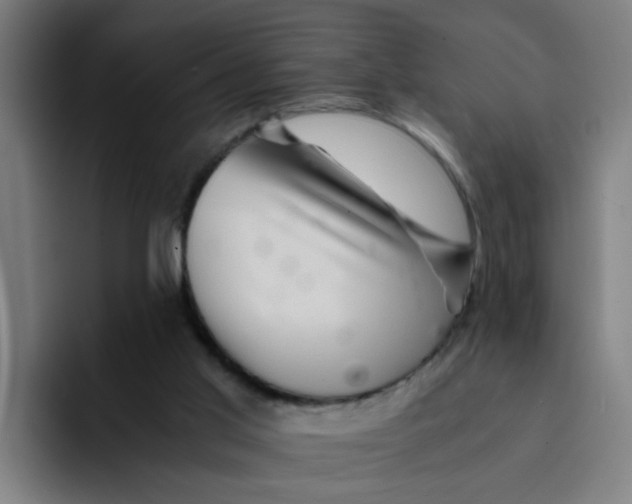 X0000094180013200711161737