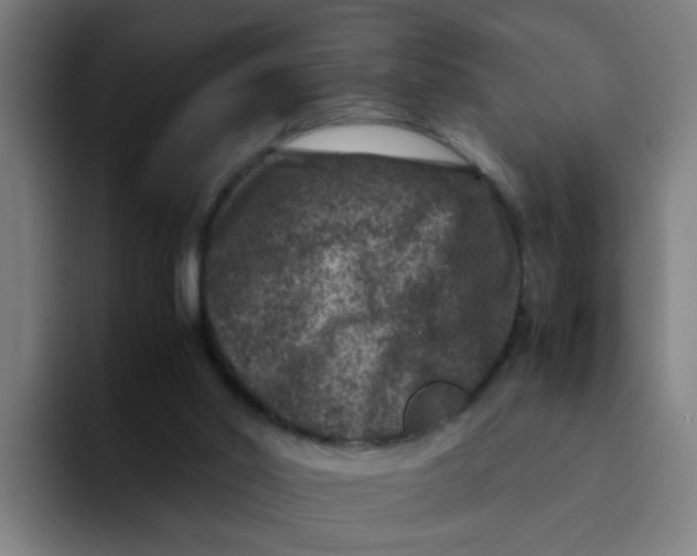 X0000094180014200711161737