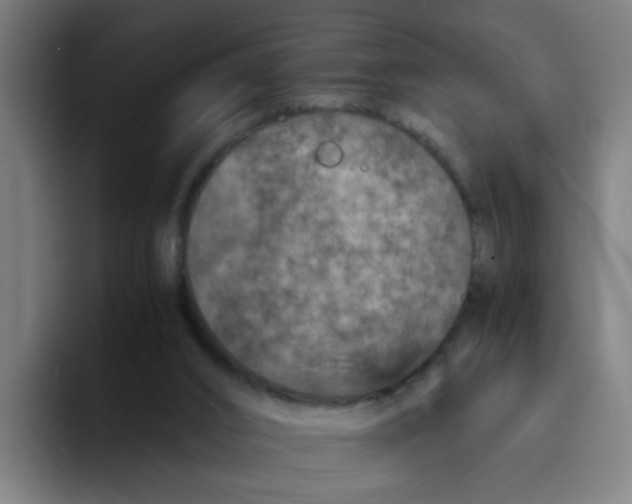 X0000094180016200711161737