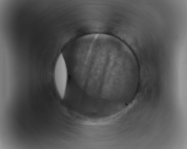 X0000094180017200711161737