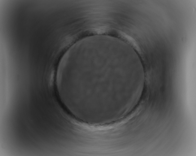 X0000094180018200711161737