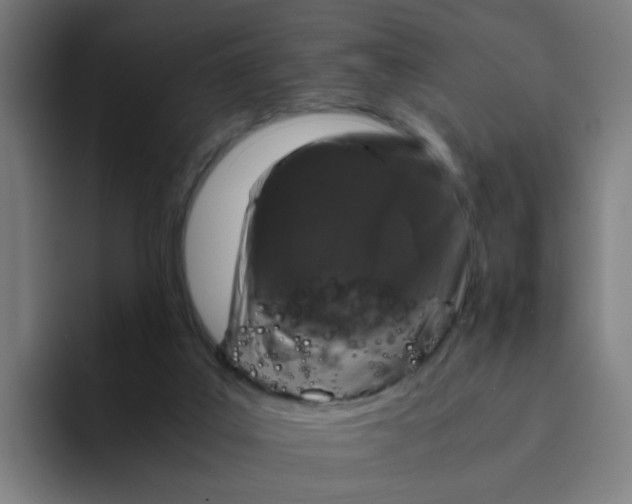 X0000094180019200711161737