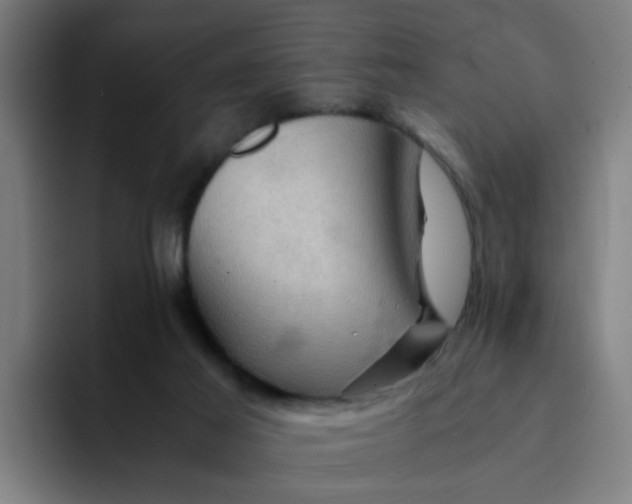 X0000094180021200711161737