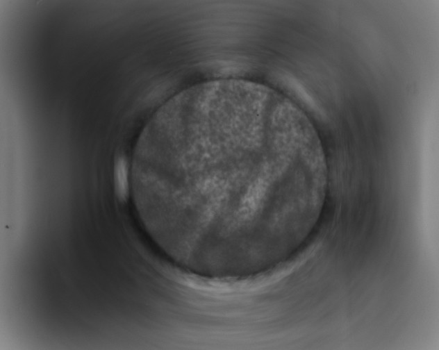 X0000094180022200711161737