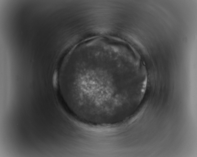 X0000094180024200711161737