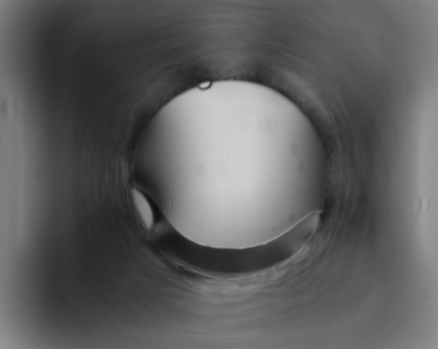 X0000094180025200711161737