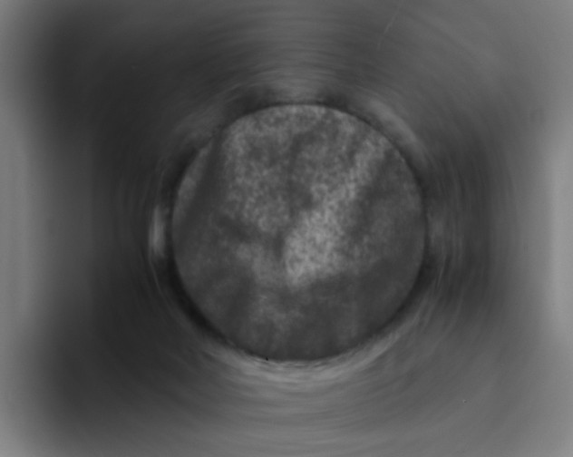 X0000094180026200711161737