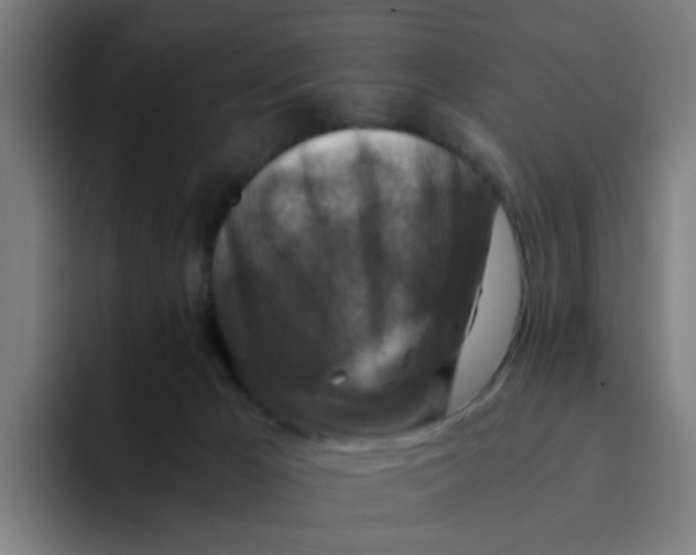 X0000094180029200711161737