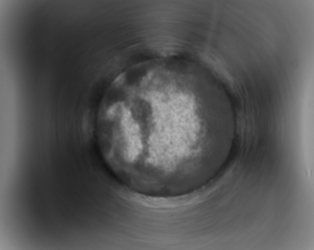 X0000094180030200711161737