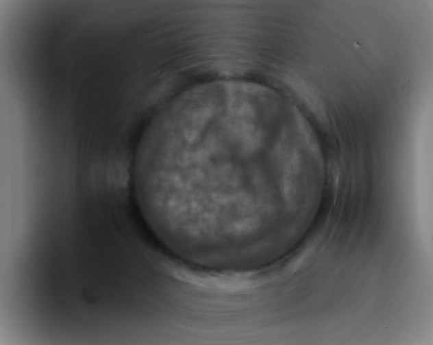 X0000094180032200711161737