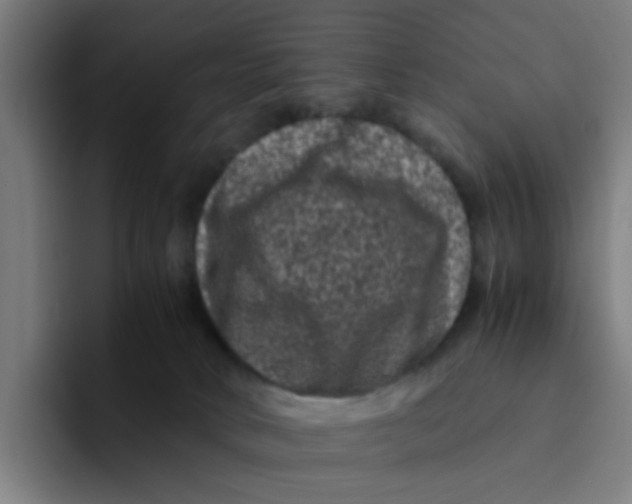 X0000094180034200711161737