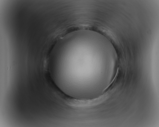 X0000094180037200711161737