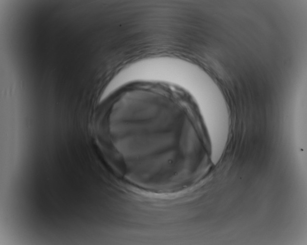 X0000094180039200711161737