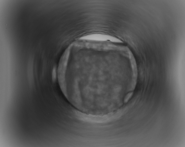 X0000094180042200711161737