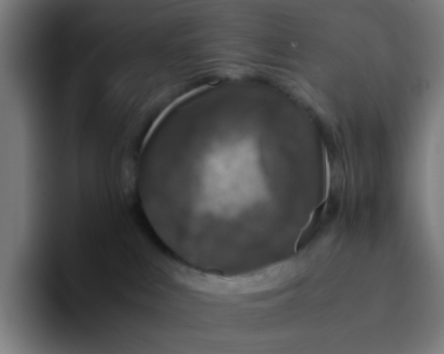 X0000094180043200711161737