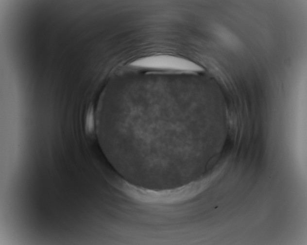 X0000094180046200711161737