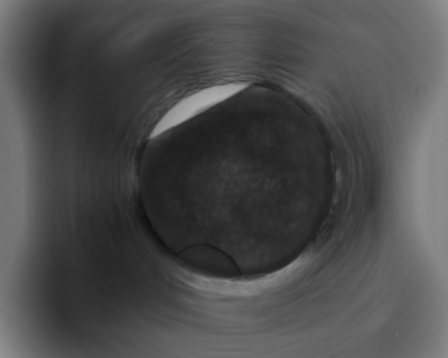 X0000094180048200711161737