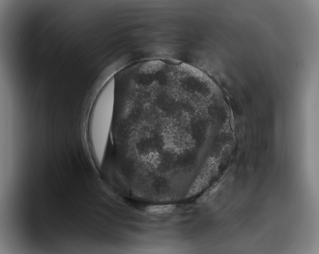 X0000094180051200711161736