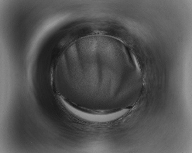 X0000094180052200711161736