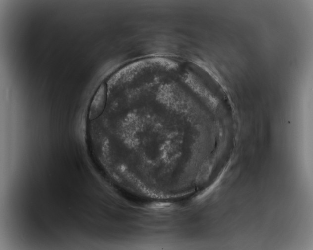 X0000094180055200711161736