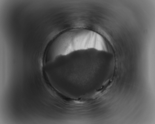 X0000094180059200711161736