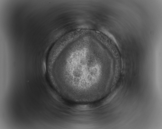 X0000094180061200711161736