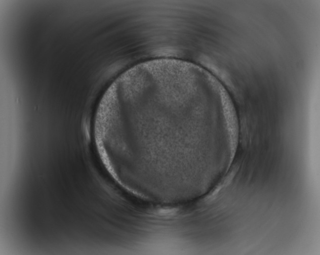 X0000094180062200711161736