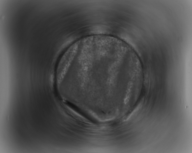 X0000094180063200711161736