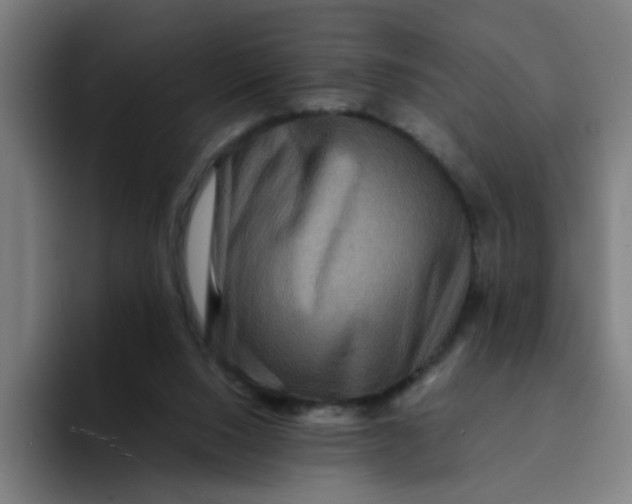 X0000094180064200711161736