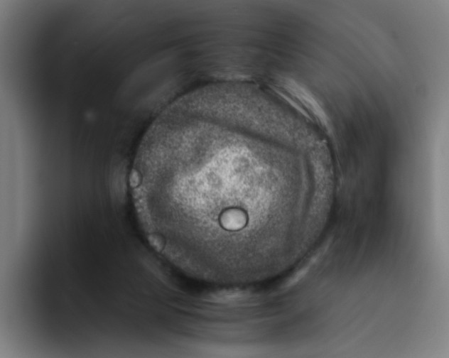 X0000094180065200711161736